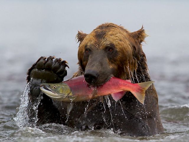 River Fishing